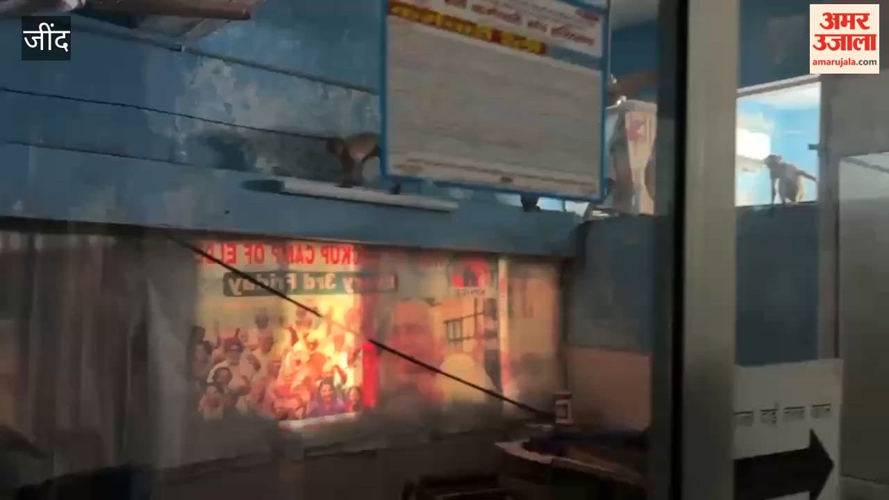 Monkeys damaged computers and files at the Civil Hospital in Jind