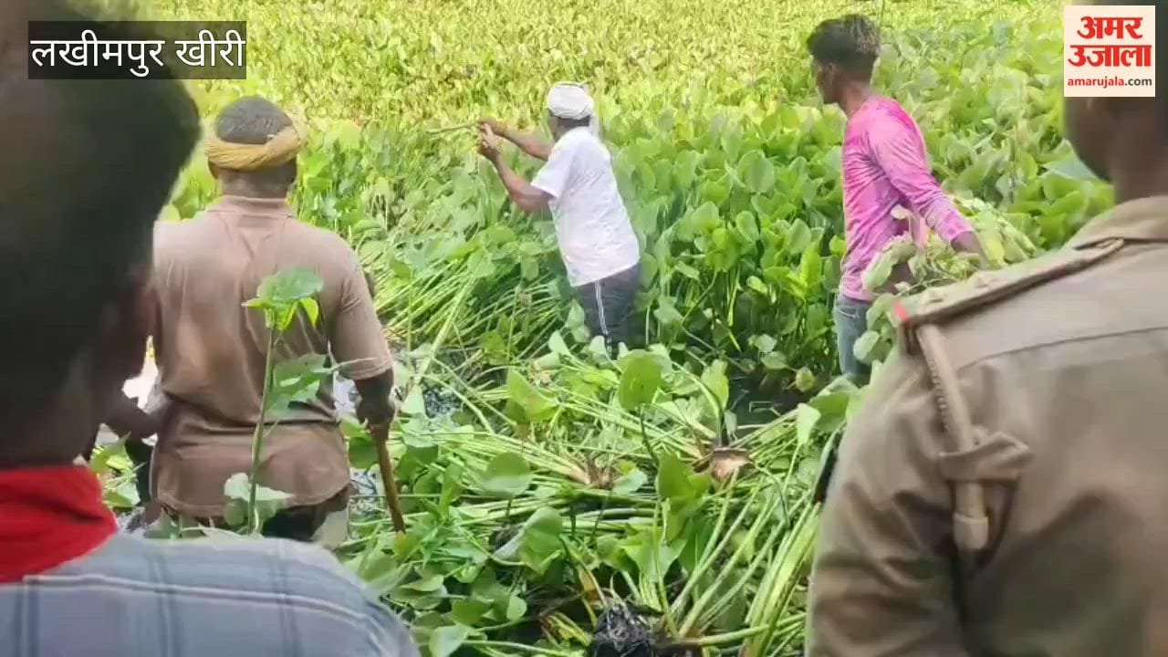 Crocodile drags away 12-year-old boy in Lakhimpur Kheri