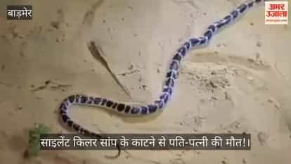 Husband and wife died bitten by a silent killer snake in Barmer