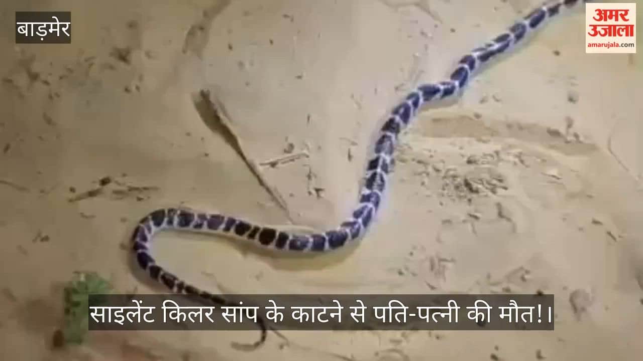 Husband and wife died bitten by a silent killer snake in Barmer