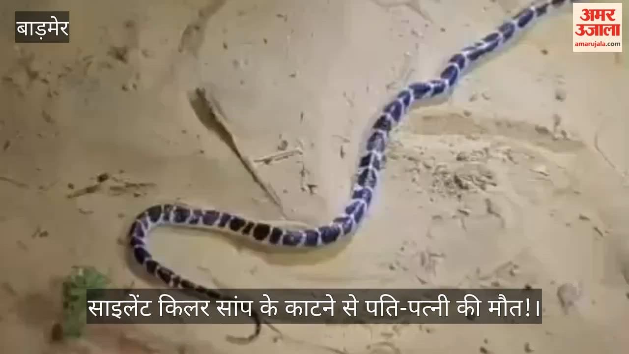 Husband and wife died bitten by a silent killer snake in Barmer