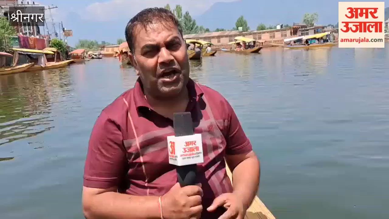 Shikaras enliven Dal Lake