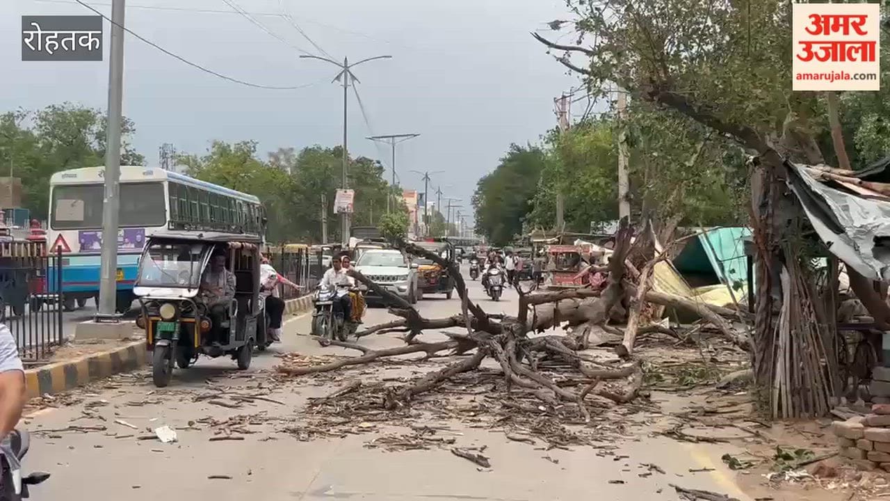 Trees and electricity poles toppled in Rohtak due to strong winds; traffic disrupted.
