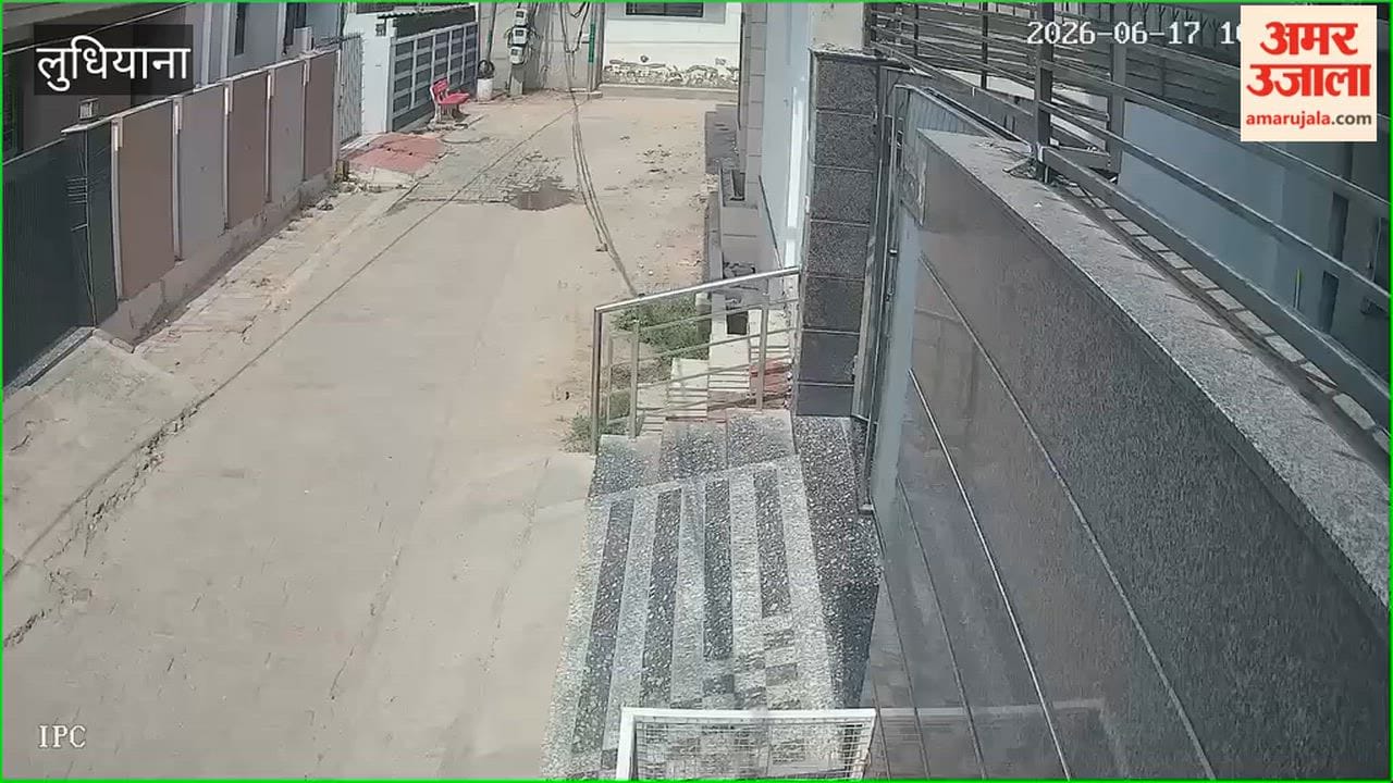 Stray dogs terrorize Jagraon; residents distressed.