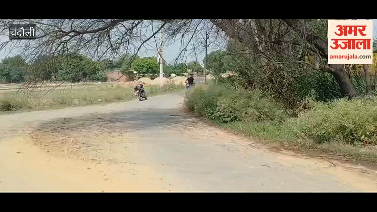 Babool tree branch hanging over road for one week