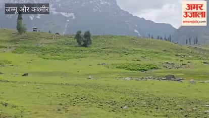 UP tourist charmed by Kashmiri hospitality
