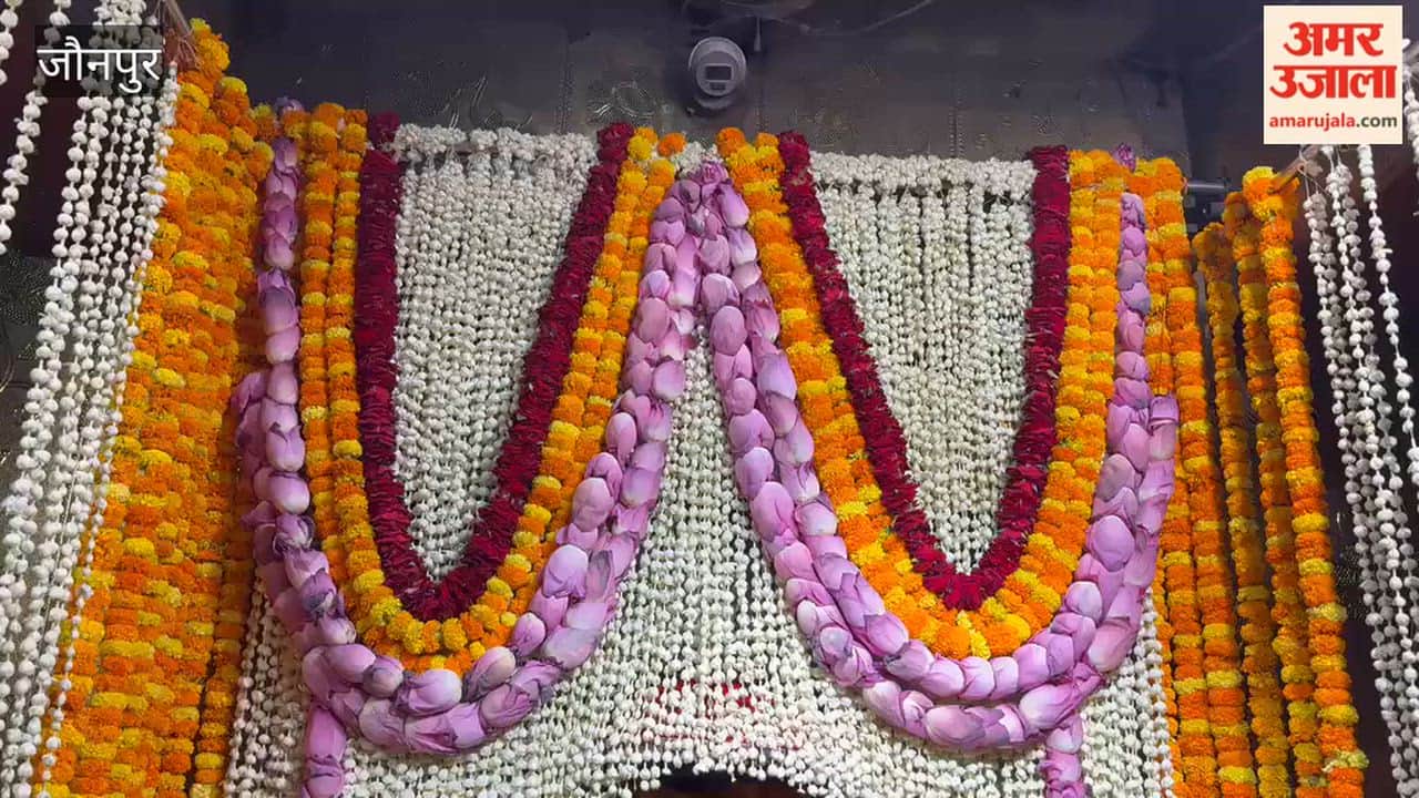 Goddess Sheetala adorned with chunri and flowers including lotus rose dauna and bela