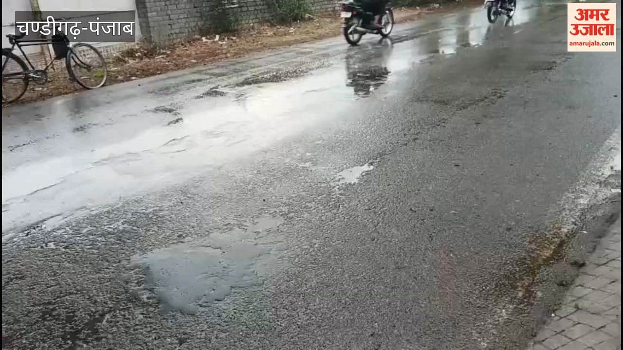 Rain in Punjab