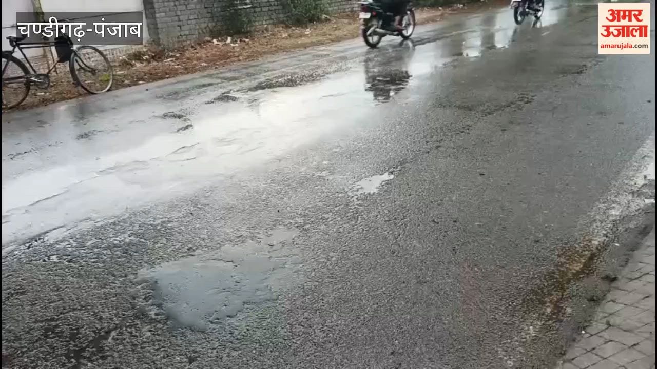 Rain in Punjab