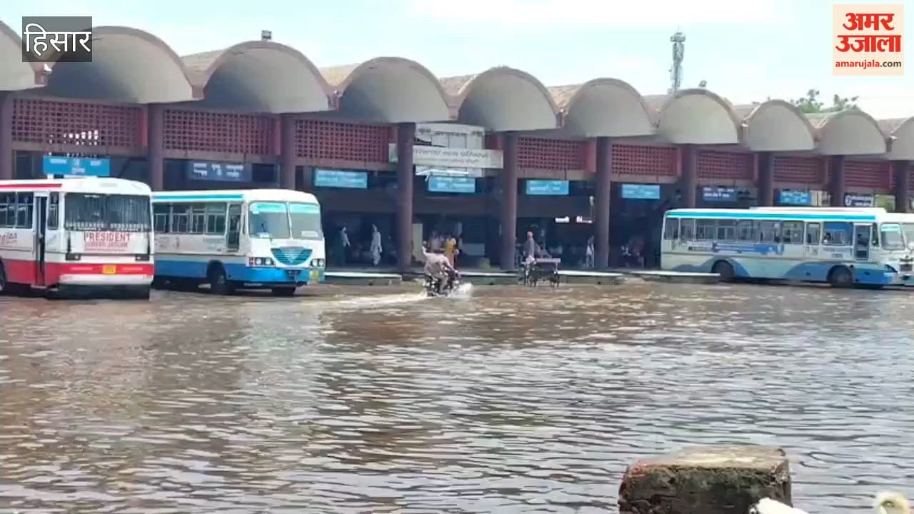 Hansi submerged in rain; waterlogging across the entire city, including the bus stand, Hansi-Tosham Road, and Baba Shyam Mandir Road.