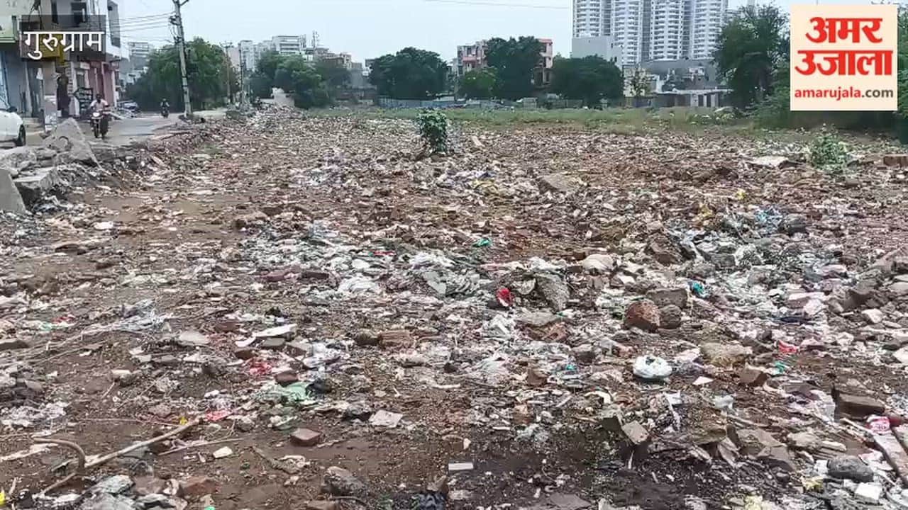 Garbage woes in Gurugram demand for removal