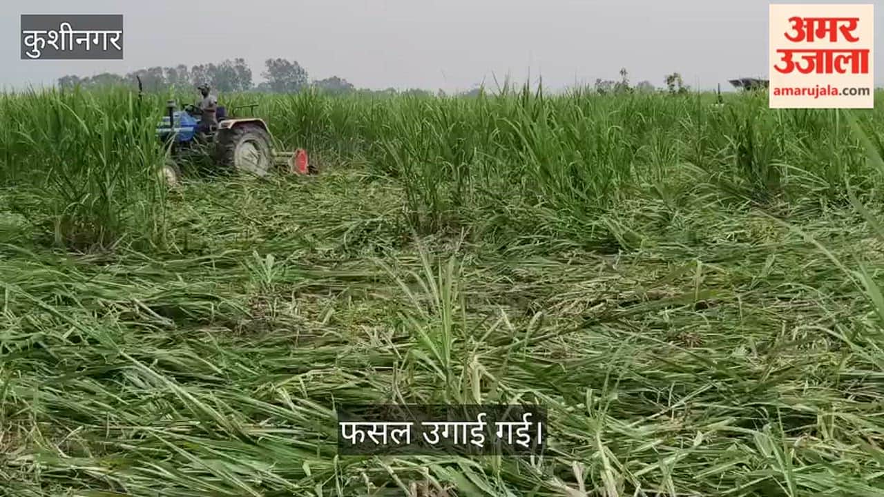Government land cleared of encroachment.