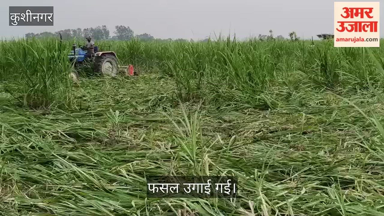 Government land cleared of encroachment.