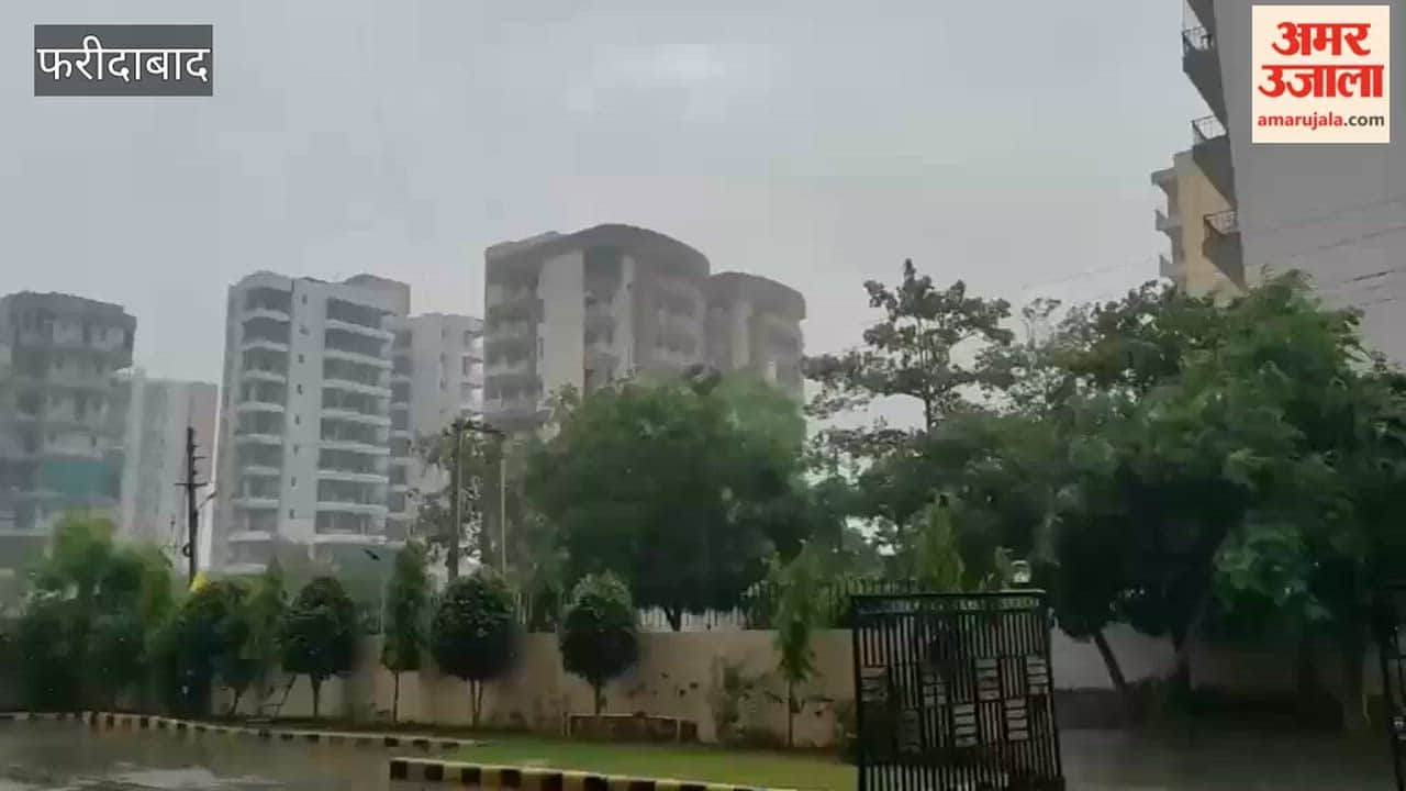 Rain accompanied by strong winds in Faridabad brings relief from the heat