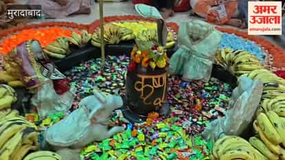 Grand decoration of Bhole Baba in Ranmukteshwar temple