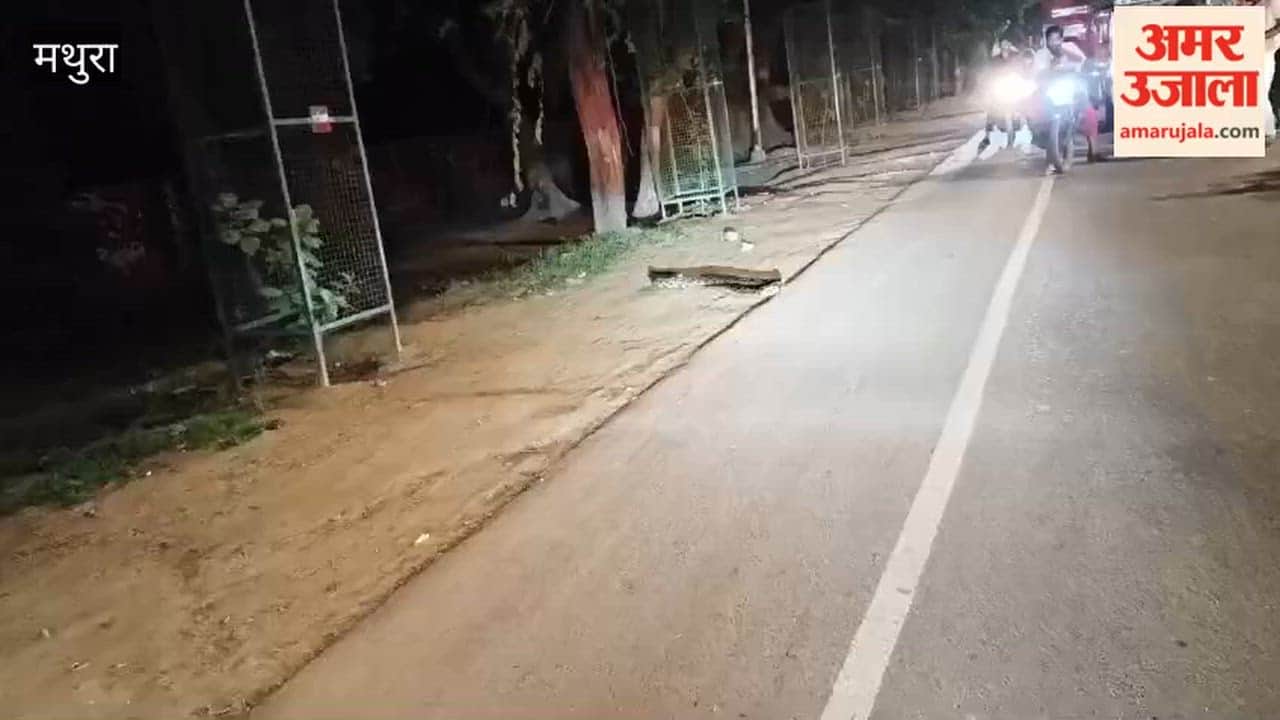 7-Foot-Long Python Appears on Road Vehicles Come to a Halt; Video Goes Viral
