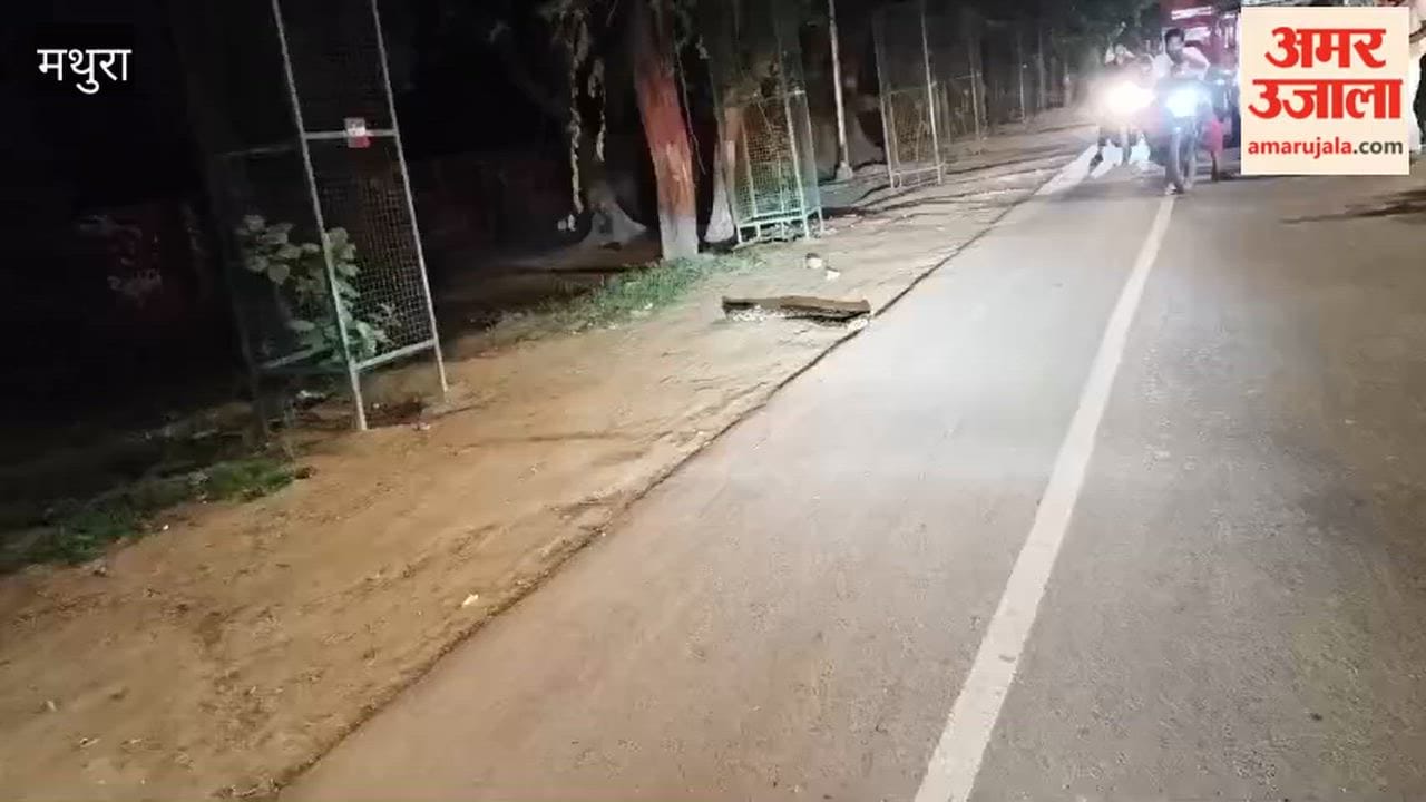 7-Foot-Long Python Appears on Road Vehicles Come to a Halt; Video Goes Viral