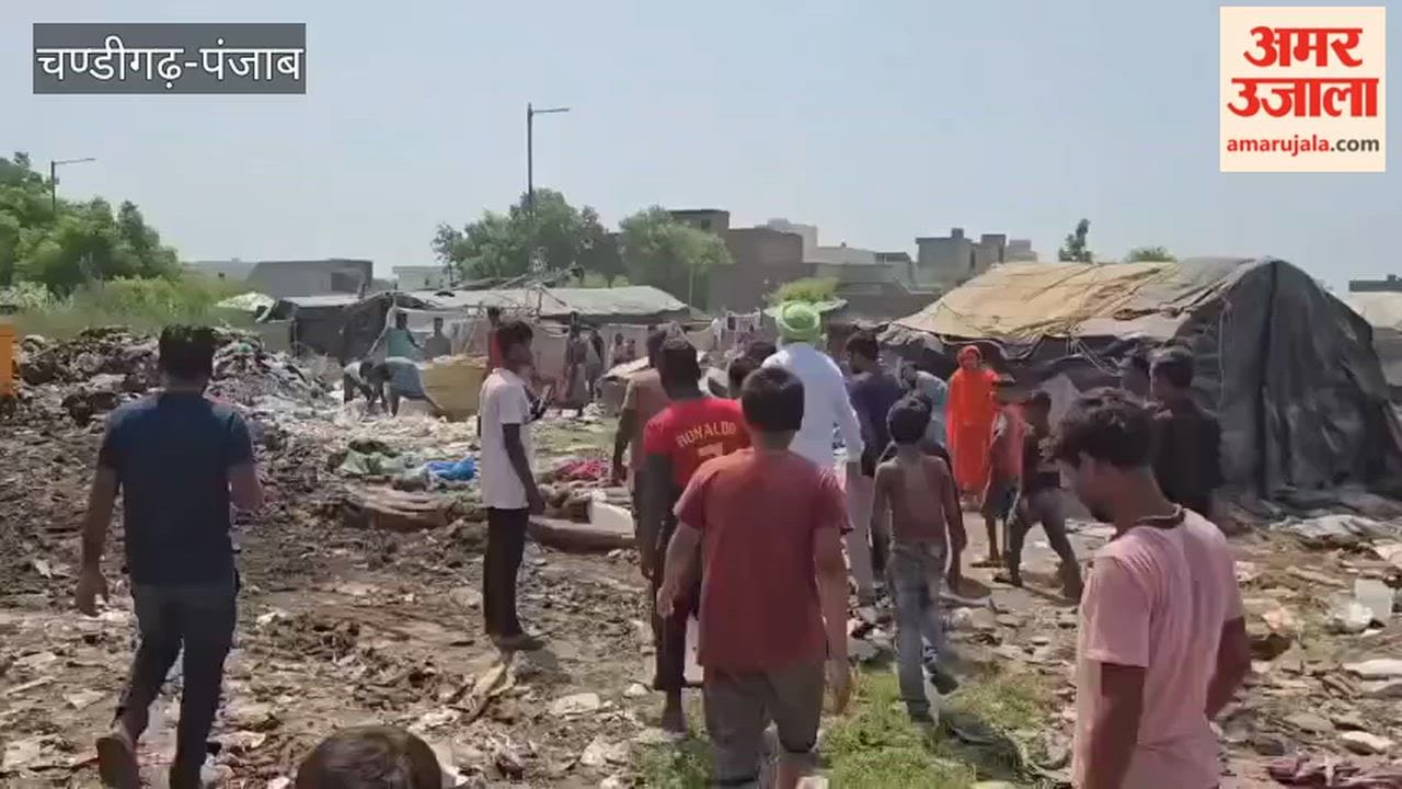 Moga Market Committee removes illegal encroachments from Moga Dana Mandi