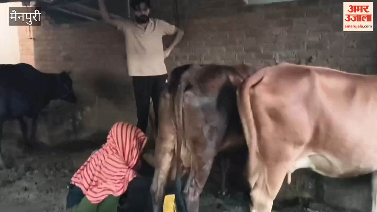 illicit liquor trade has been replaced by milk business in village of Ghutara Masumpur in Mainpuri
