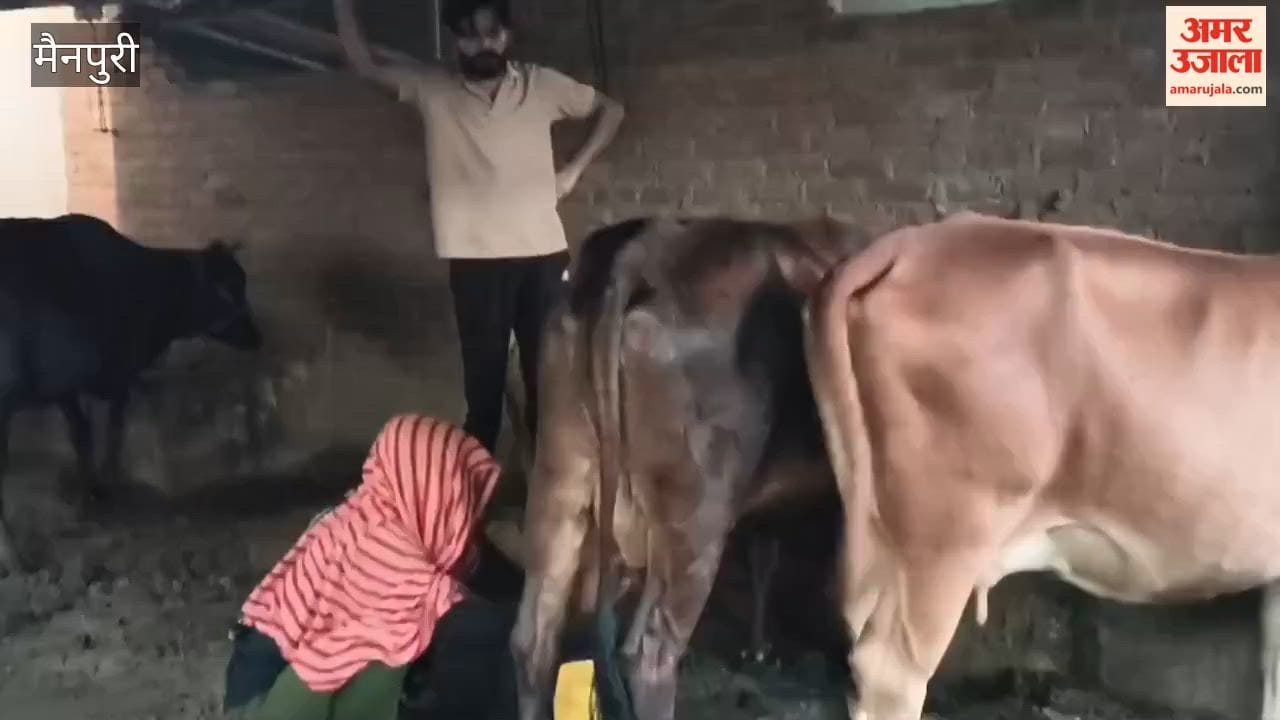 illicit liquor trade has been replaced by milk business in village of Ghutara Masumpur in Mainpuri