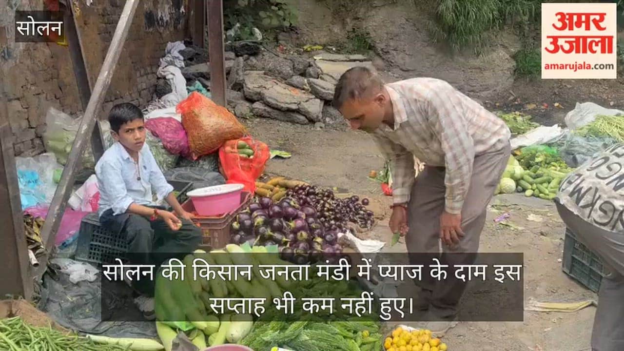 solan kisan janata mandi onion price 60 tomato 150 crate