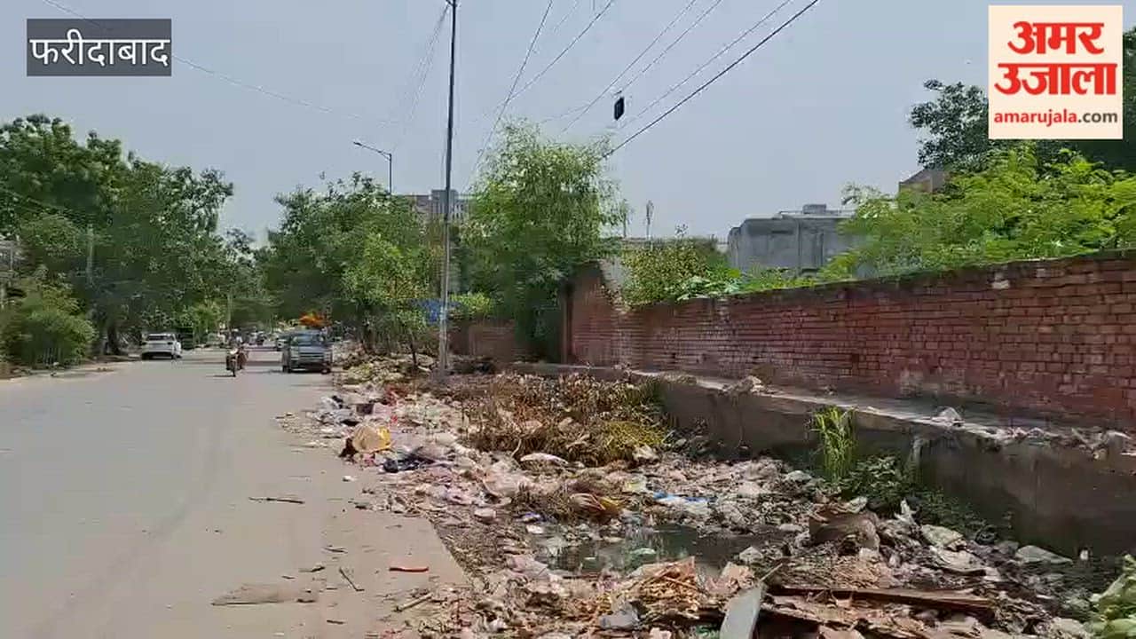 Garbage strewn along the roadside for 100 meters on the main road of Faridabad Sector 37