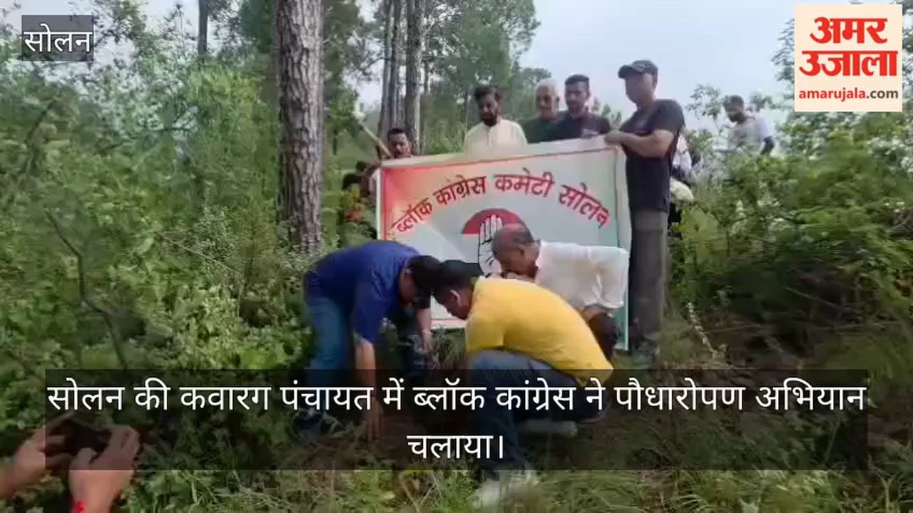 kawarag solan tree plantation amit thakur environment conservation