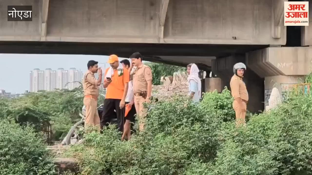 Girl jumps into Hindon River boy also jumps in to save her girl missing