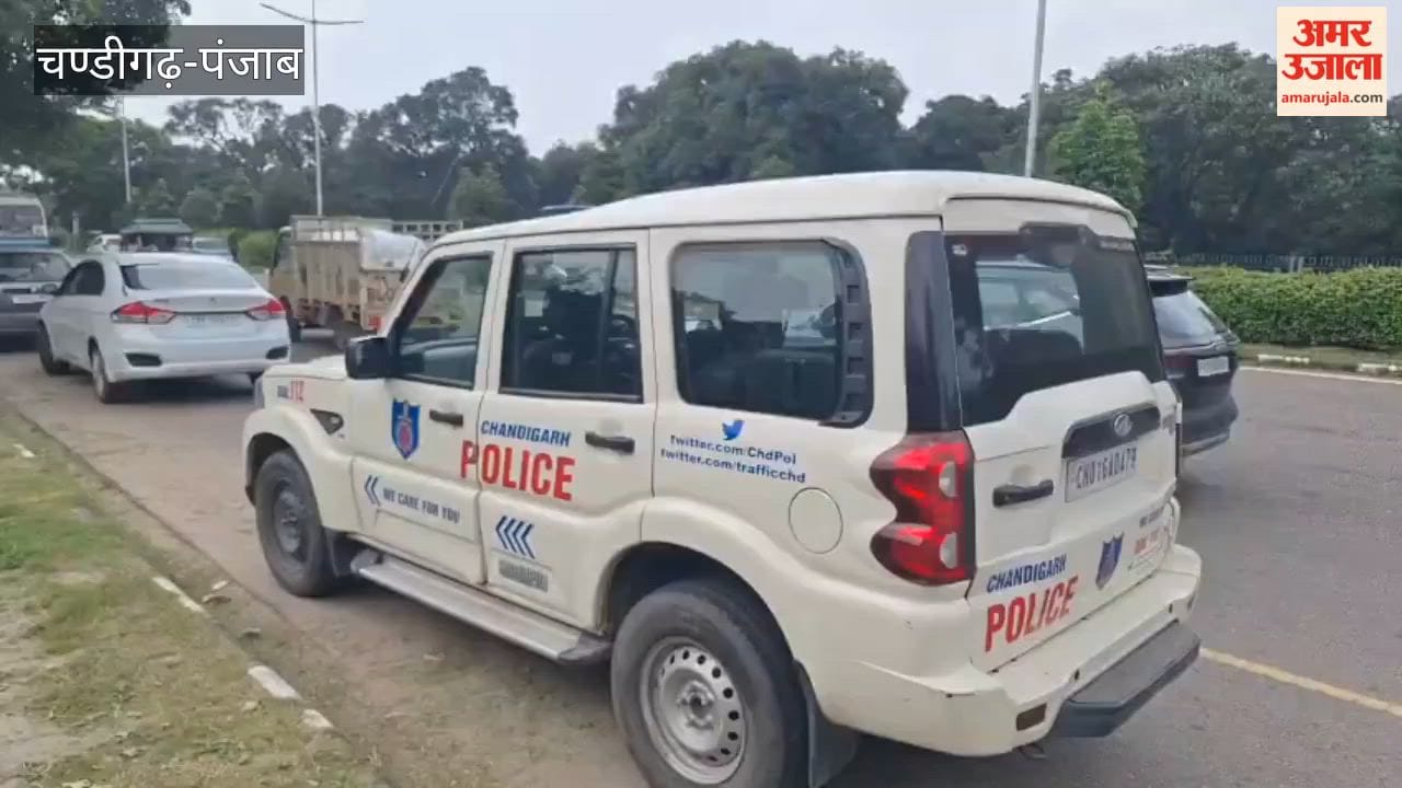 Skeleton found near Tribune Chowk