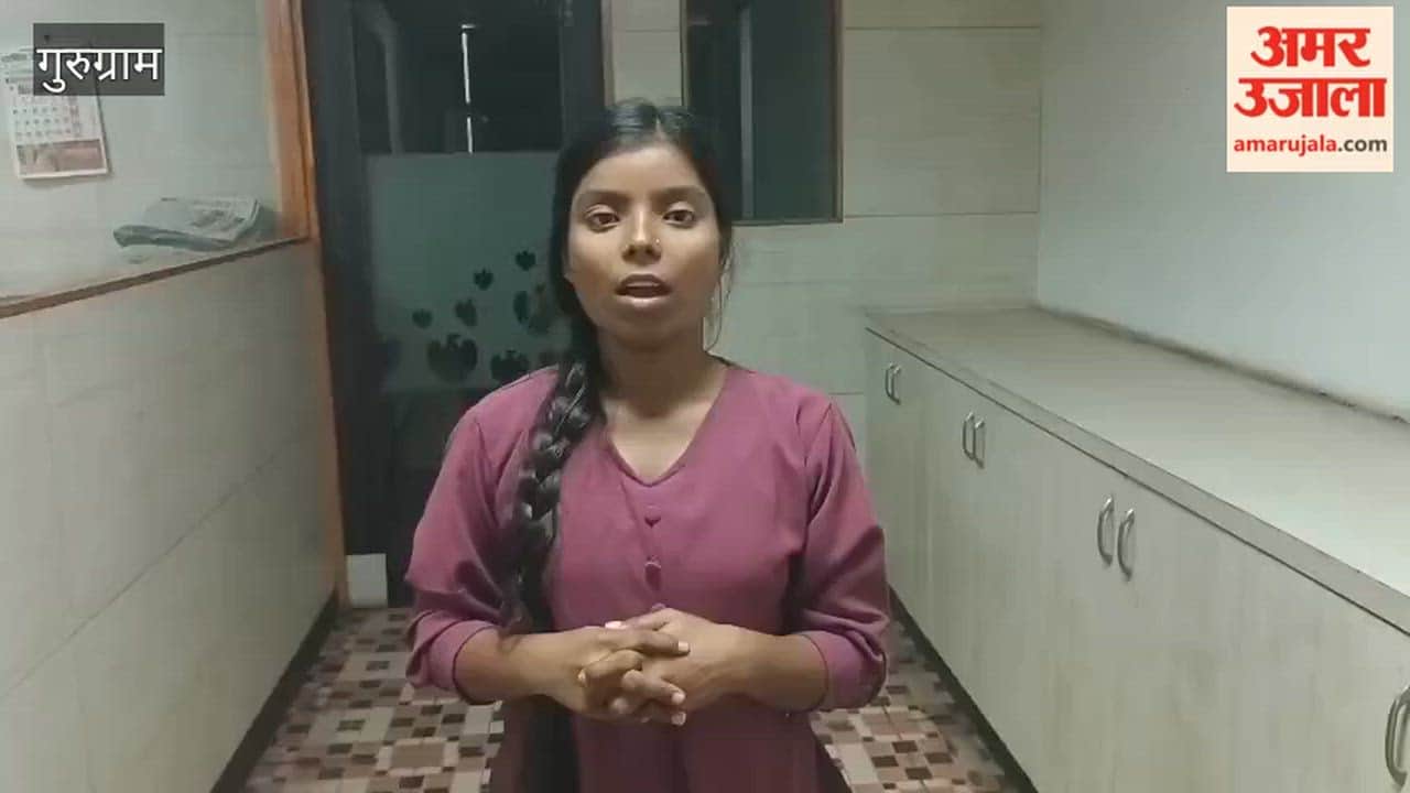 Rising cases of mosquito-borne diseases in Gurugram