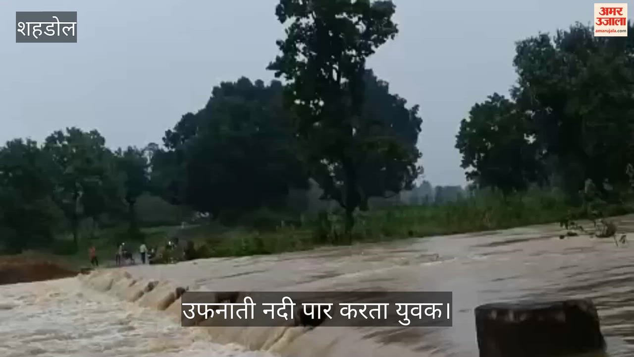 Shahdol: Youth Stunts in Swollen Kased River, Risks Life Crossing Bridge; Administration’s Appeal Ignored