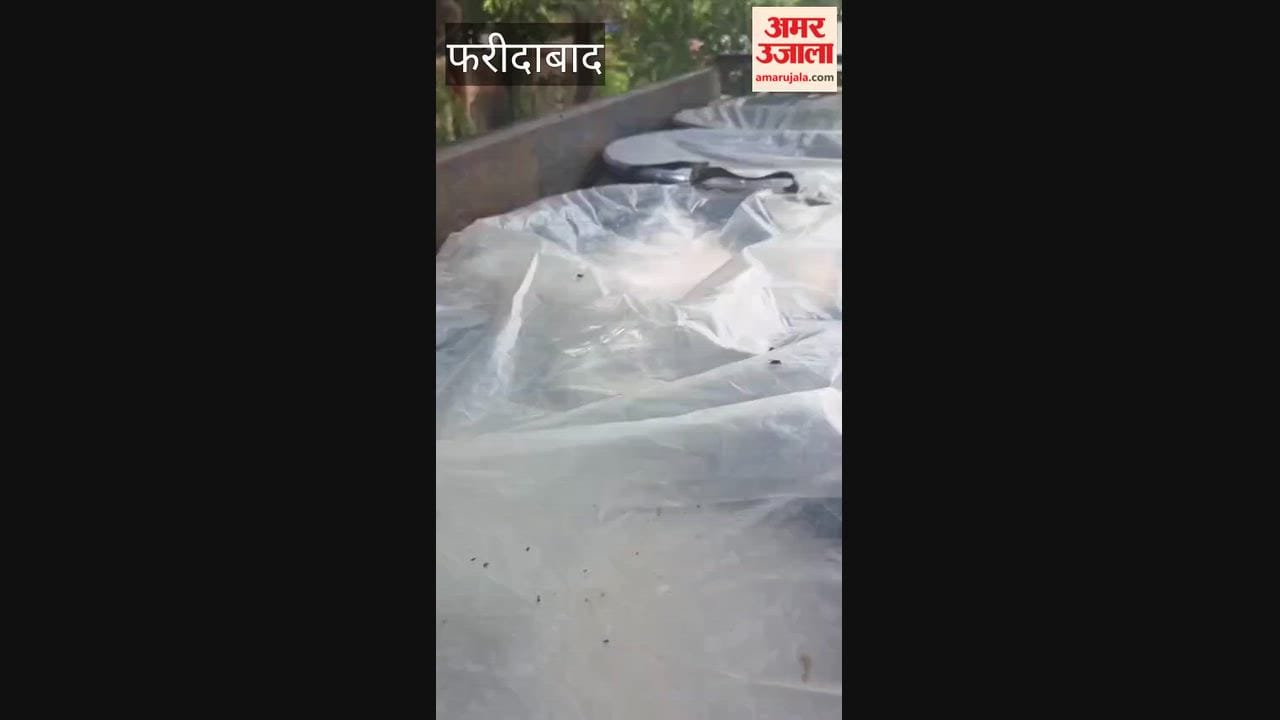 Bolero loaded with adulterated paneer seized in Faridabad