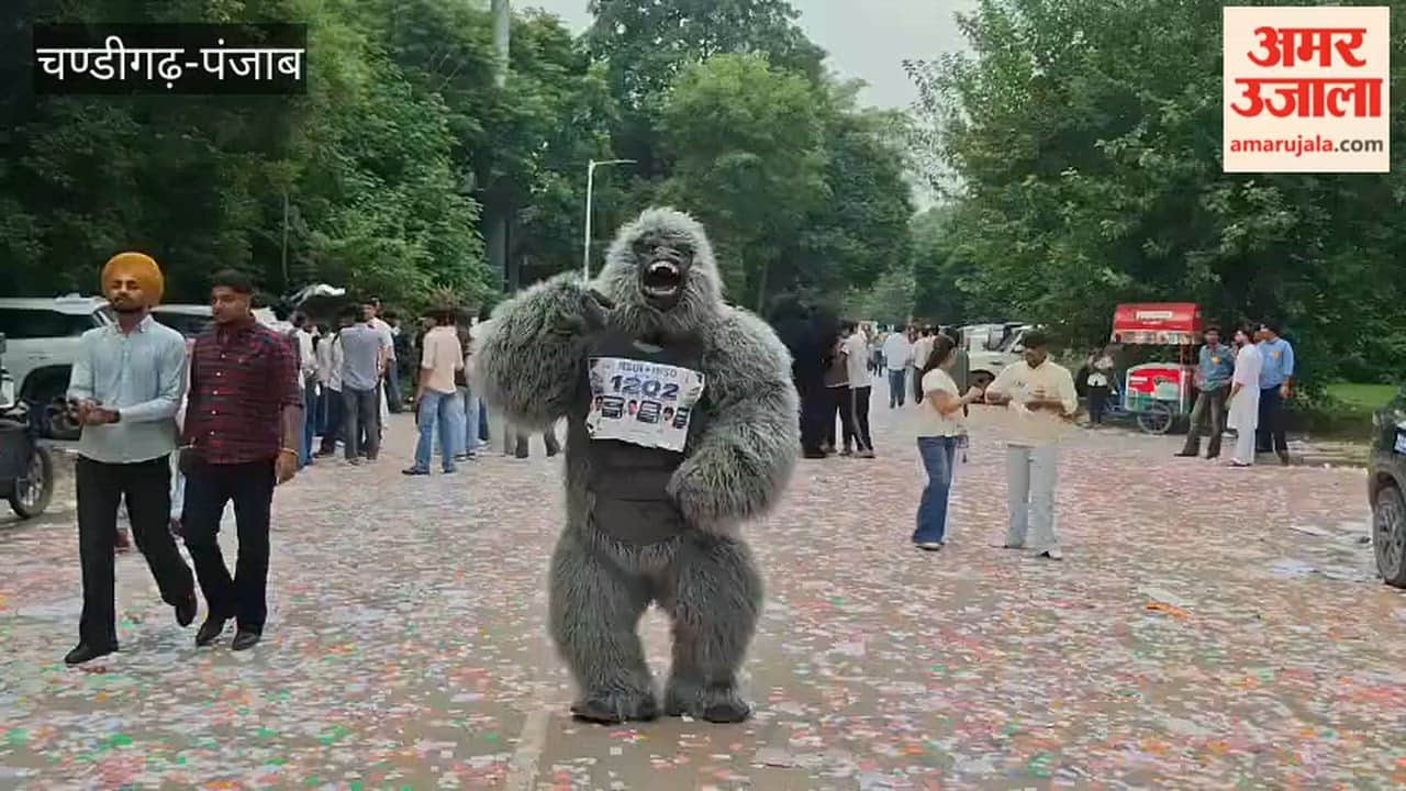 Bear campaigned for NSUI in PU student union elections.