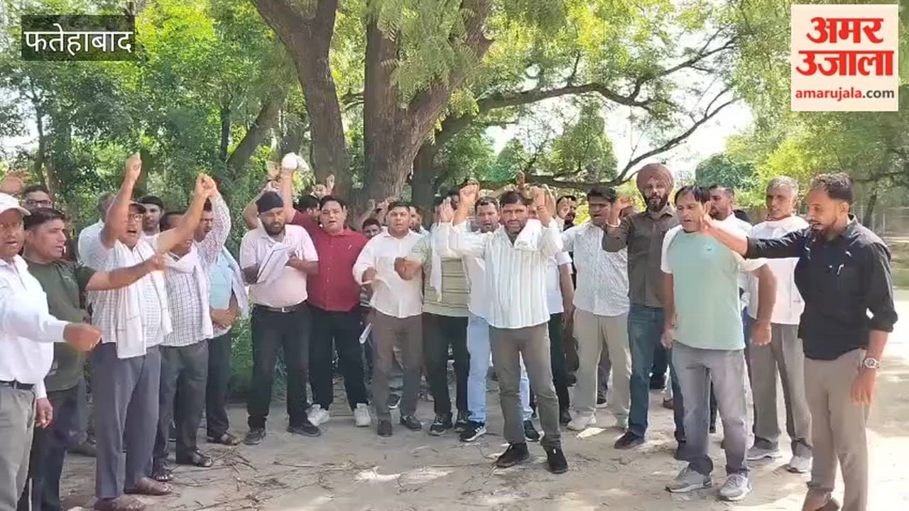 Electricity employees protest against government over demands in tohana fatehabad