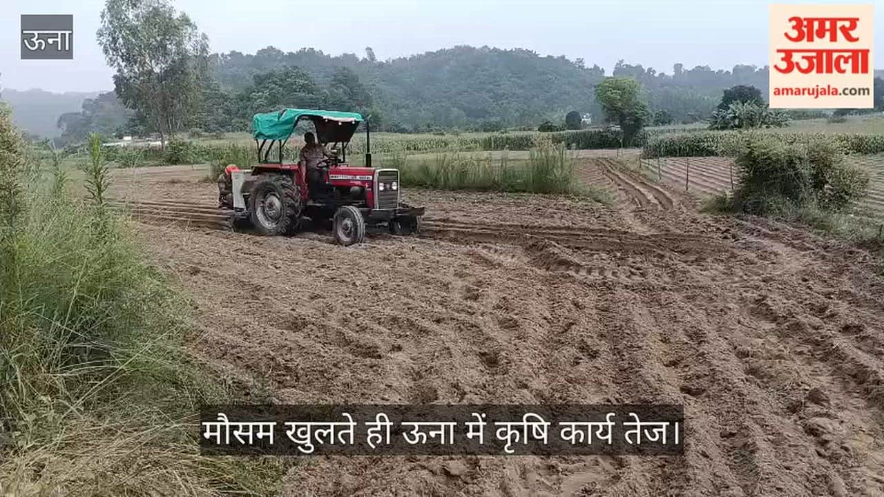 una potato sowing bairiyan farmers agriculture news