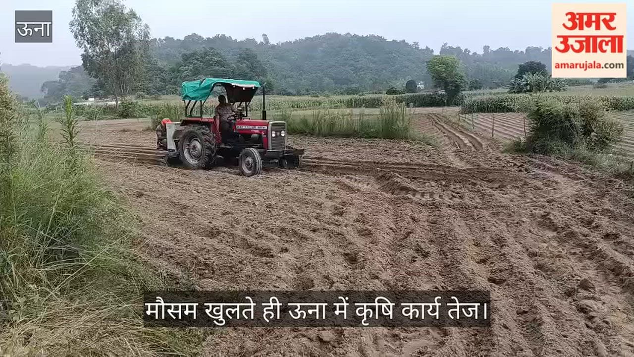 una potato sowing bairiyan farmers agriculture news