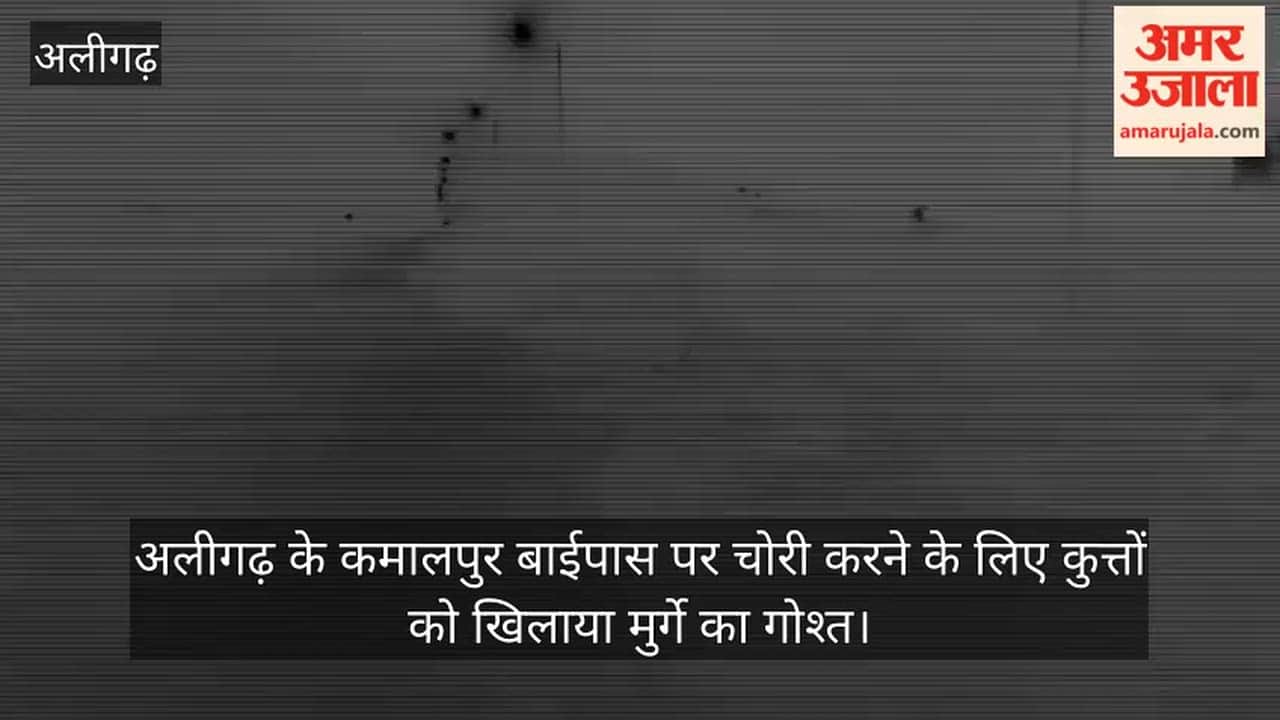अलीगढ़ के कमालपुर बाईपास पर चोरी करने के लिए कुत्तों को खिलाया मुर्गे का गोश्त