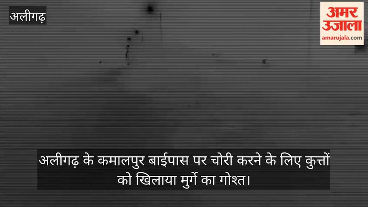 अलीगढ़ के कमालपुर बाईपास पर चोरी करने के लिए कुत्तों को खिलाया मुर्गे का गोश्त