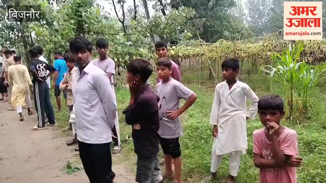 Bijnor: Remains of bovine animals found in Maujampur Tulsi; police have initiated an investigation.