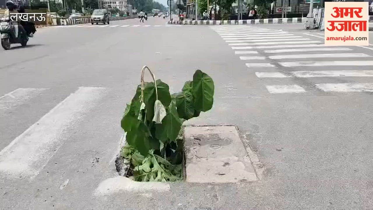 लखनऊ में सीवर के चैंबर का ढक्कन टूटा, लोगों ने जुगाड़ से बना लिया बचने का रास्ता