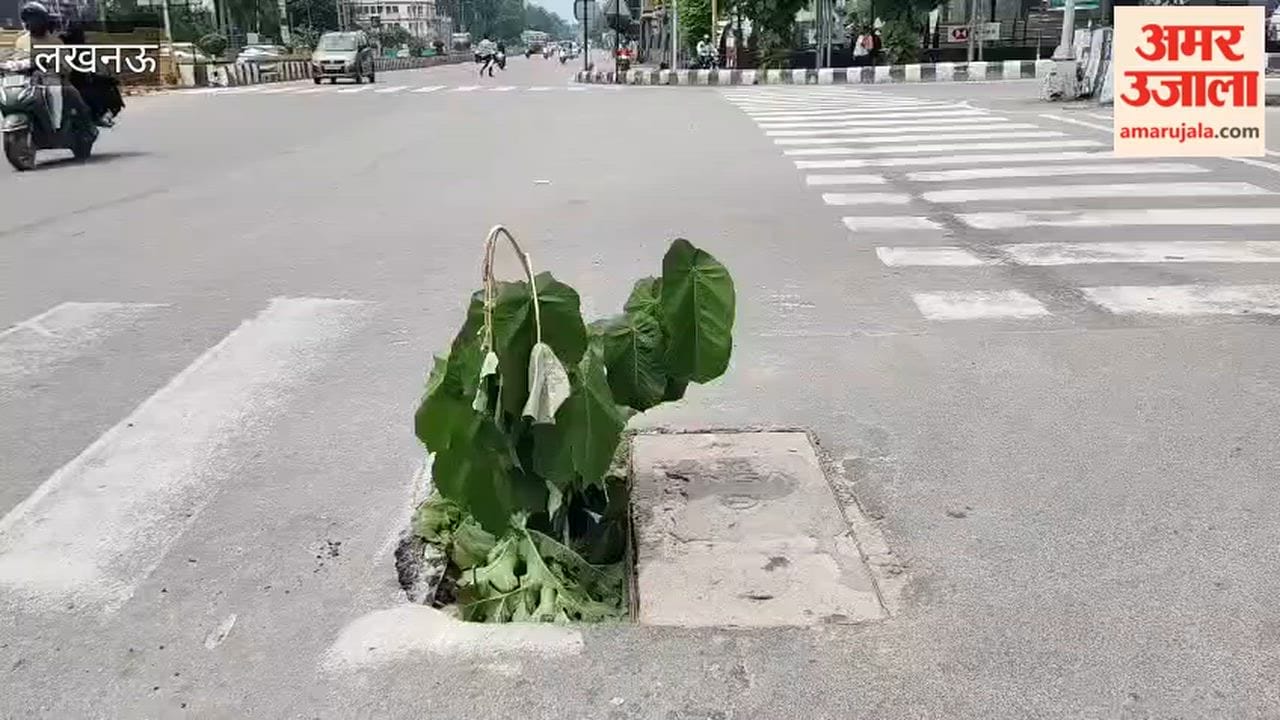 लखनऊ में सीवर के चैंबर का ढक्कन टूटा, लोगों ने जुगाड़ से बना लिया बचने का रास्ता