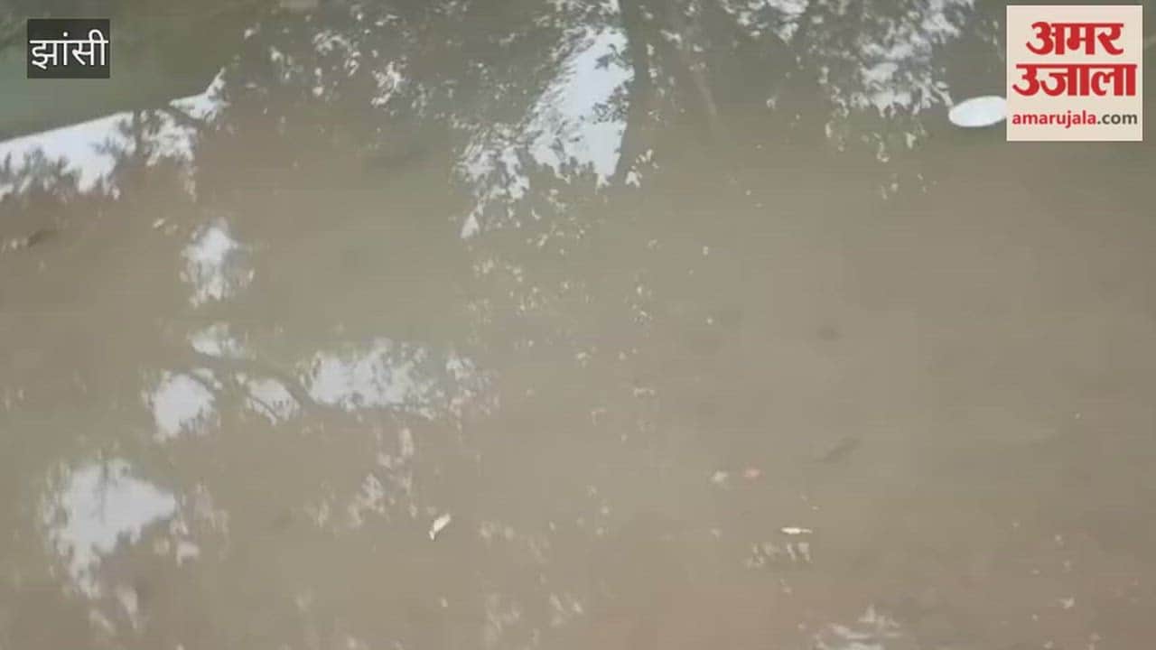 Primary School Kharkasani in Mauranipur turns into pond