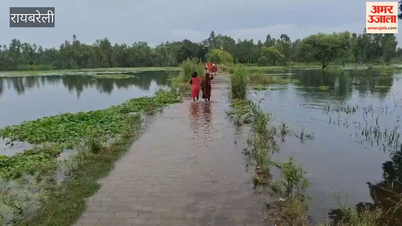 रायबरेली में लगातार बारिश और नैय्या नाला उफनाने से सड़कों पर जलभराव, बर्बाद हुई फसलें