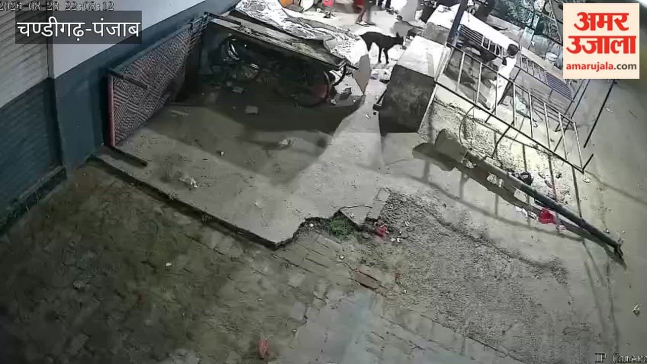 Shopkeeper attacked in Moga after refusing to allow alcohol consumption; assailants flee with ₹22,000 from the cash box.