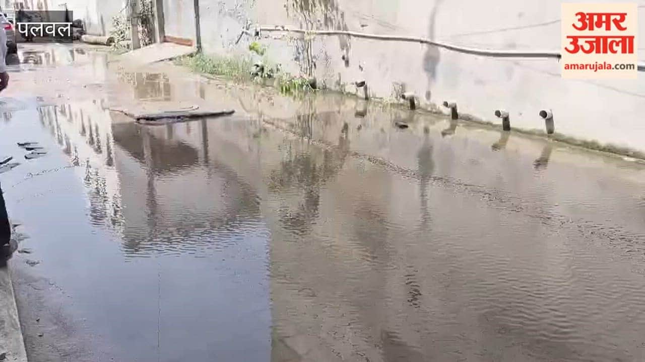 Foul-smelling sewage water has become nuisance in Shiv Vihar Colony of Palwal Ward-23