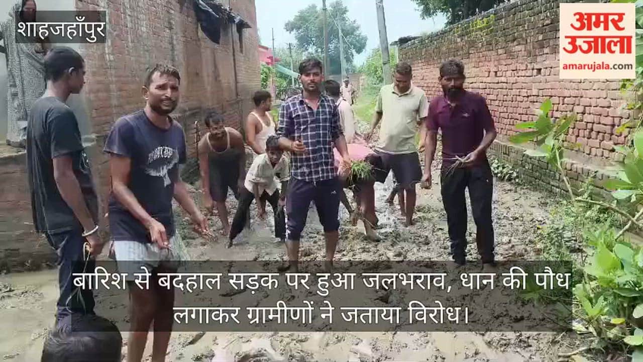 Waterlogging on a road ruined by rain protest staged by planting paddy seedlings in Shahjahanpur