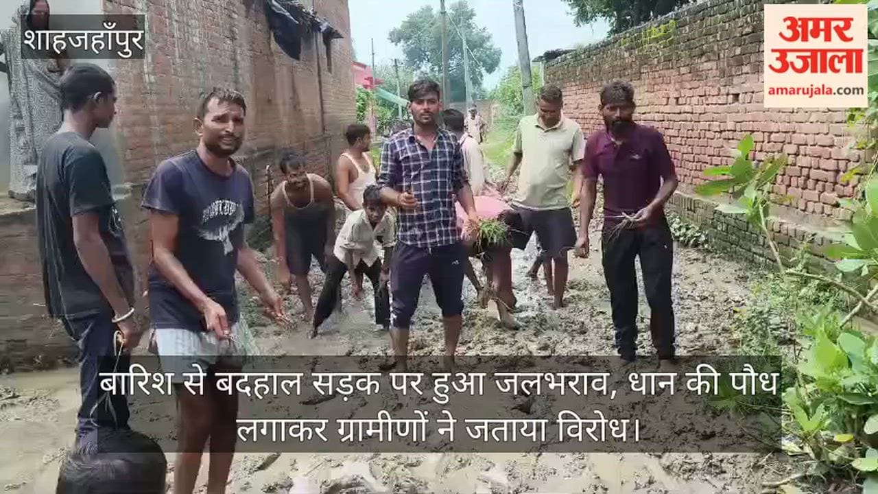 Waterlogging on a road ruined by rain protest staged by planting paddy seedlings in Shahjahanpur