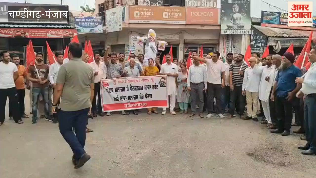 Employees burned an effigy of CM Mann at Adda Jhungian to press for their demands.