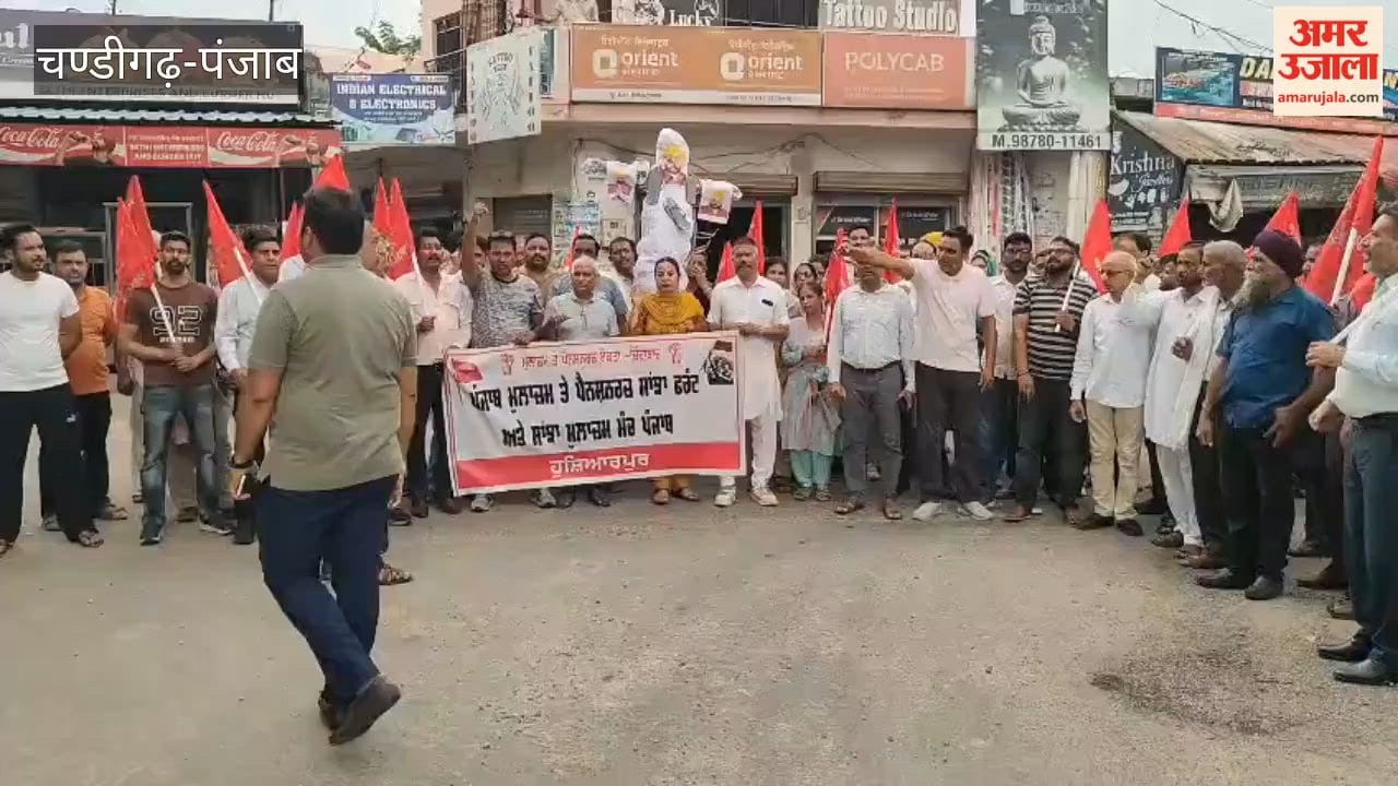 Employees burned an effigy of CM Mann at Adda Jhungian to press for their demands.