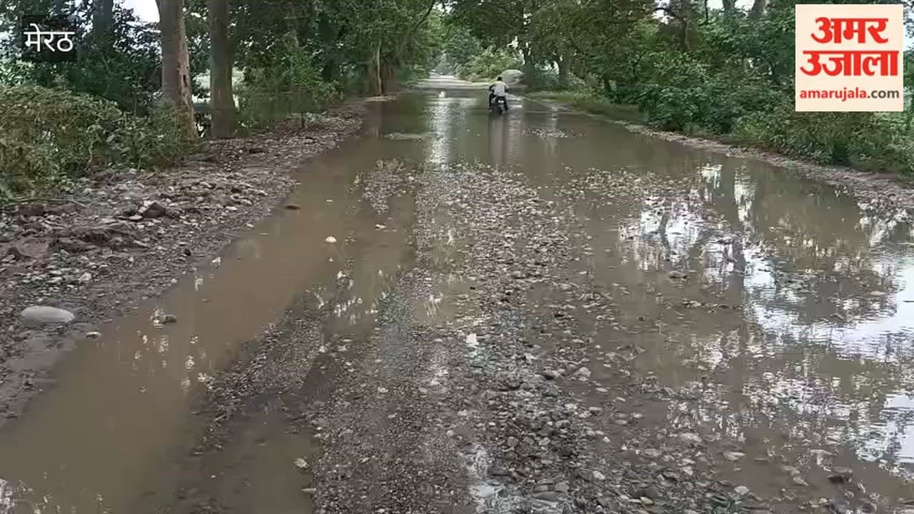 Road left after digging for two months in the name of construction, pedestrians forced to walk on stones